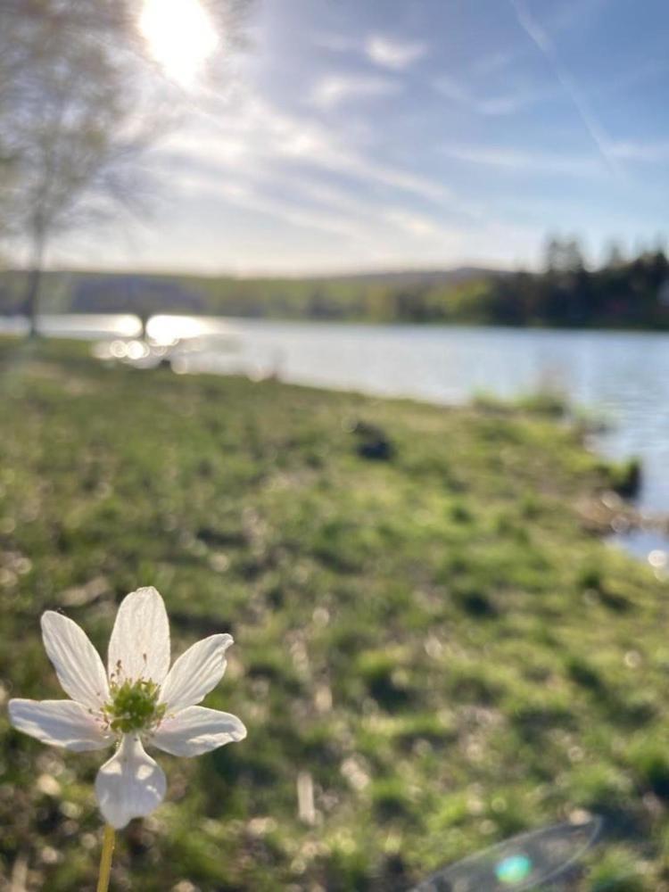 Valassky Hotel A Pivni Lazne Ogar Luhacovice Luaran gambar